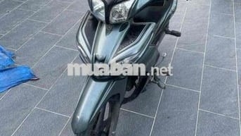 xe zin chất