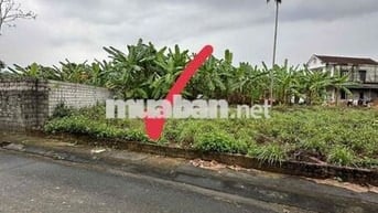 Bán gấp 79m thổ cư sẵn sổ hồng HN, giáp ga Metro và đại lộ Thăng Long