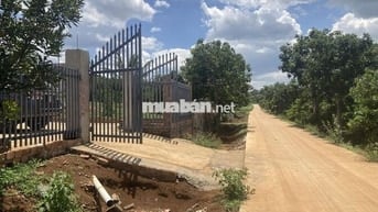 Đất có nhà Cấp 4 mới , mặt đường bê tôn 68m x 80m sổ hồng chính chủ