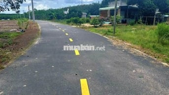 Bán gấp lô đất 600m2 (100mtc), đường nhựa 1 sẹc DH507, Phú Giáo
