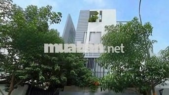 HOT NHÀ MỚI XÂY - 21E Thăng Long, P.4, Q.TB - 5x26m - 6PN - 3 Tầng
