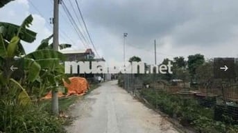 Chính chủ cần bán 2 lô đất liền kề 110m2/1 lô