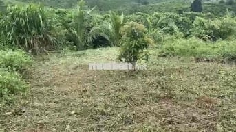 Chính chủ đất nền giá rẻ xã Tân Lâm huyện Di Linh