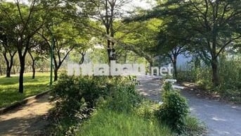 Chủ Bán Gấp Đất Huỳnh Tấn Phát Quận 7 DT 50m2 Chỉ 2.x tỷ Có GPXD3 Tầng