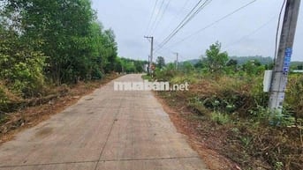 ĐẤT  NGỘP NGÂN HÀNG  CẦN BÁN GẤP
