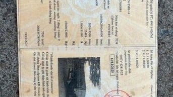 CẦN BÁN XE TẢI CÓ CẦN CÂU hoạc không cần cẩu