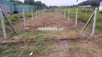 Cần Vốn Bán Ngang 12m – Ngay KCN Phước Đông – Giá Tốt 290TR – Sổ Hồng