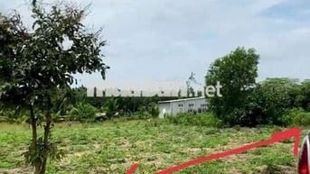 Đất Bình Dương 200m2, giá chỉ 579tr
