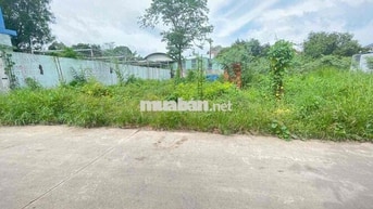 ĐẤT HIỆP THÀNH BÌNH DƯƠNG CŨ. SÁT BỆNH VIỆN 512.ĐƯỜNG 5M THÔNG i HÌNH