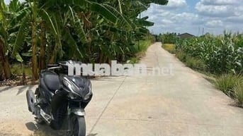 Đất thổ cư dt 110m 5x20m giá 420tr mỹ thạnh Tân trụ long an