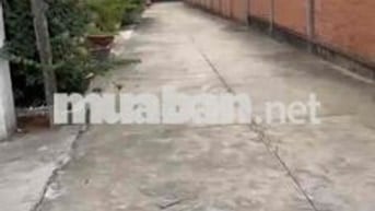 Cần Tiền bán gấp lô đất 250m2 full thổ cư