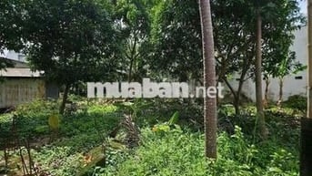 💥 Đất Bình Nhâm ngang 10 – 240m² – Gần Nguyễn Chí Thanh – Giá 5,2 Tỷ 💥
