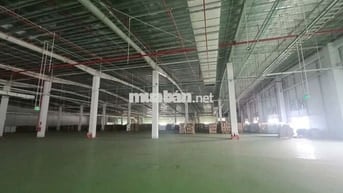Cho thuê kho xưởng 6.848m² KCN Hựu Thạnh, Long An, giá : 2.5 usd/m2/TH