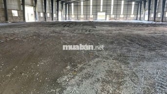 Cho thuê kho xưởng 3.600m² Bến Lức,Long An,Có điện 560kVA,PCCC tự động