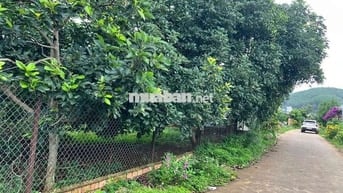 Bán lô đất cách hồ Từ Liêm 100m tại xã Nam Ban, Lâm Đồng