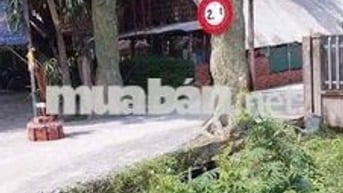 NỀN FULL THỔ KHU GIA NGUYÊN TÂN HẠNH GIÁP PHƯỜNG 8 TP VĨNH LONG