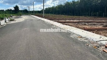 Chú Hai cần bán Nền Thổ Cư Xã An Long tp Hồ Chí Minh