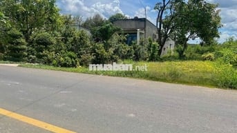 Bán Ngộp Đất Mặt Tiền DH507, 835m2 thổ cư 150m2, thuận tiện Kinh Doanh