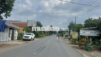 Bán Gấp 300m2 đất Thổ Cư, Đường Nhựa, có đèn đường, Giá 650 triệu