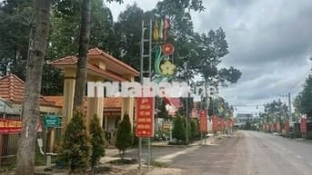 Đất Tp.Hcm Sau Chợ An Linh 424m2(100m2TC) Bao sổ 430tr Cách Dh507 100m