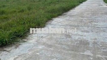 Cần bán gấp lô đất thổ cư giá rẻ