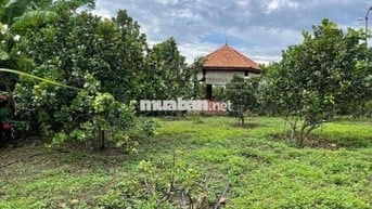 Chính Chủ cần bán Gấp đất vườn hơn 2000m2 giá 210triêu