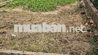 🎉🎉 Lô 61 m2 Hiền Lương, Hiền Ninh – Nhỏ Tiền, Ô Tô đỗ cửa – Sát trục
