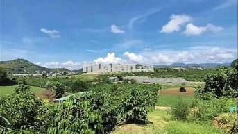 đất sổ đỏ 10000 m2 đã chuyển 2000 m2 thổ cư, thuoc khu dân cư Nam Hà