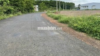 BÁN GẤP ĐẤT THỔ MẶT TIỀN ĐƯỜNG NHƯA 18M NGAY KCN LONG HÀ GIÁ 175TR
