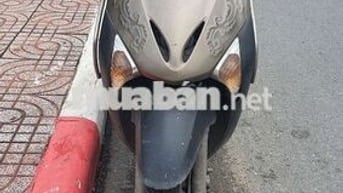 Xe Lead chở hàng FI
