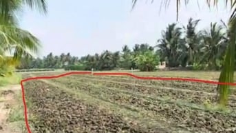 TÔI CHỦ. BÁN ĐẤT CHỢ GẠO, TIỀN GIANG. GIÁ RẺ 1200m2 660TR