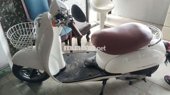 Bán xe scoppy 50cc nhật
