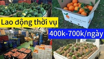 TUYỂN PHỤ XE LÀM TẠI LONG AN | LƯƠNG NGÀY 400-700K| BAO ĂN Ở