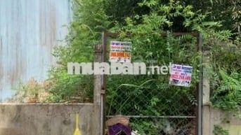 Bán Đất Full Thổ Cư Hẻm 1959 Lê Văn Lương, Nhơn Đức, Nhà Bè.