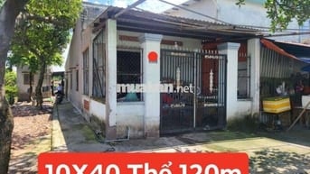 Bán nhà và 5 phòng Trọ , 10X40 Thổ 120m. Suối Lội Xã phước Vĩnh an ✅️