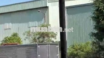 Kho diện tích 800m2 có pccc, đường cont ở Đào Trí cần cho thuê