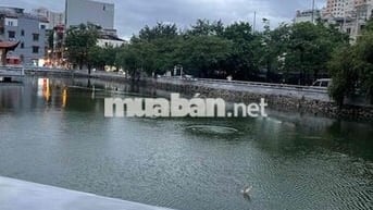 Xala Lô góc 50m mt4,5m, ô tô tránh,vào nhà, Kinh doanh,nở hậu,an sinh