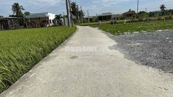1115m2 Có Sẵn Thổ Cư giá 1 tỷ 150 triệu Sổ Sẵn, có Vườn Cây, nền sẵn