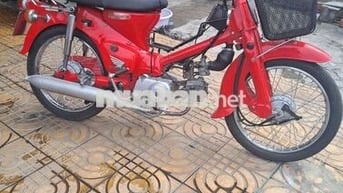 Cup 50 đèn tròn nhập thùng hàng hiếm BSđẹp bao đẹp