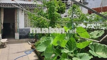 Cho thuê nhà nguyên căn Tân Hiệp 16