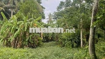 Bán đất tặng nhà trung tâm Rạch Giá, Kiên Giang