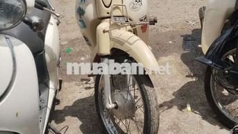 Cúp 50cc hàn quốc