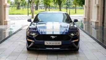 FORD MUSTANG - SỨC MẠNH VÀ CÁI ĐẸP