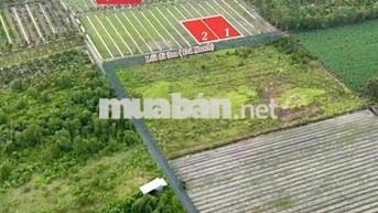 dt: 1000mv , giá 500tr , bình đức - bến lức - long an ( giá tốt )