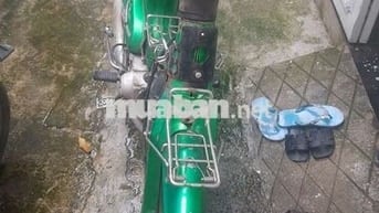 Xe số cúp 50