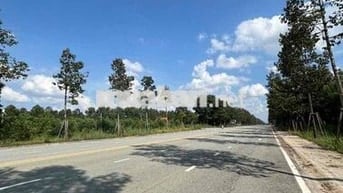 Đất đối diện trường ĐH TDM, đường DA1, Thới Hoà, Bến Cát. DT 5x30m