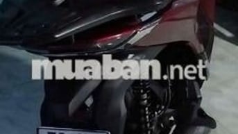 HS125 Màu đỏ.sang trọng