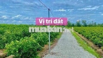 dt : 500m2 , giá 390tr , ấp5 bình đức - bến lức - long an