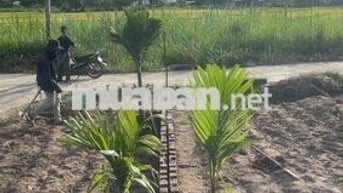 Bán lô đất nền TC ngang 12 ,330m, đường xe hơi,view đẹp giá tốt 790 tr
