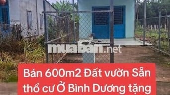 Cần Bán 600m2 Đất vườn sẵn thổ cư có sẵn nhà cấp 4 giá 715 TR
